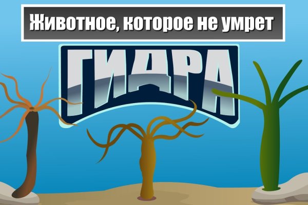 Кракен маркет kr2web in