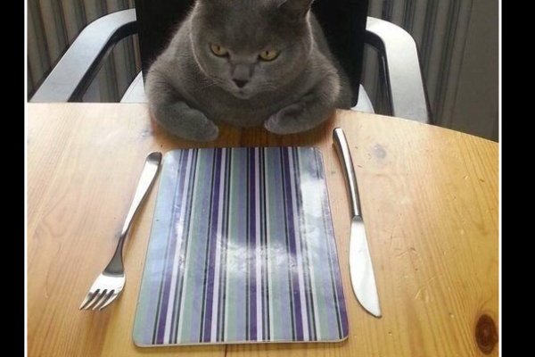 Кракен как войти через тор