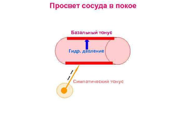 Кракен наркошоп ссылка